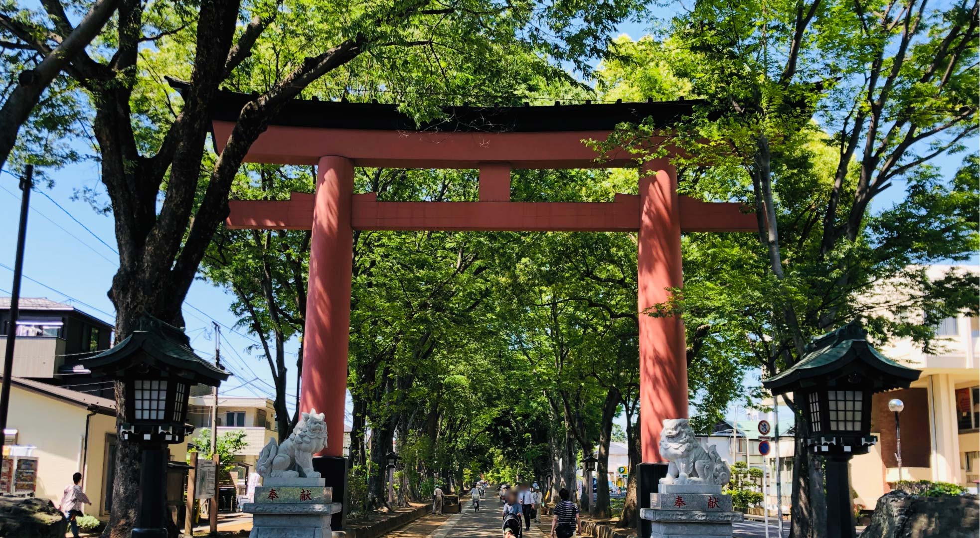 大宮氷川神社の写真